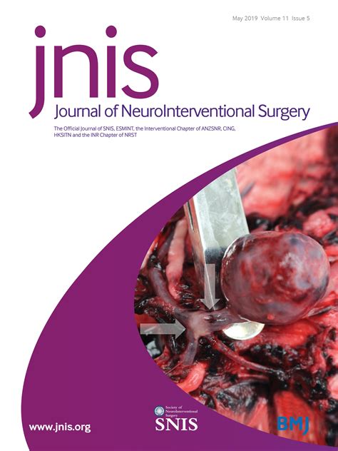 eTICI reperfusion: defining success in endovascular stroke therapy